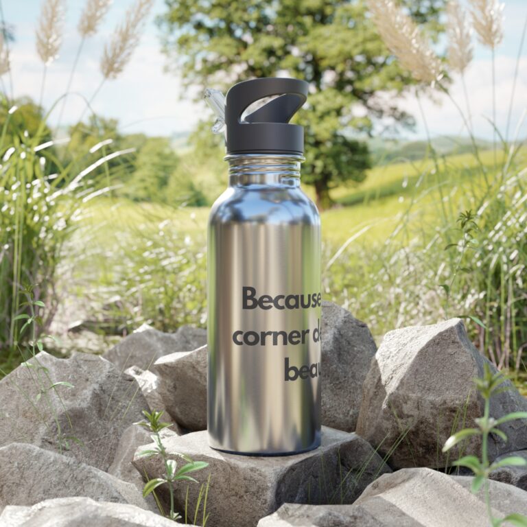 Stainless Steel Straw Water Bottle — 20oz Motivational Script Design